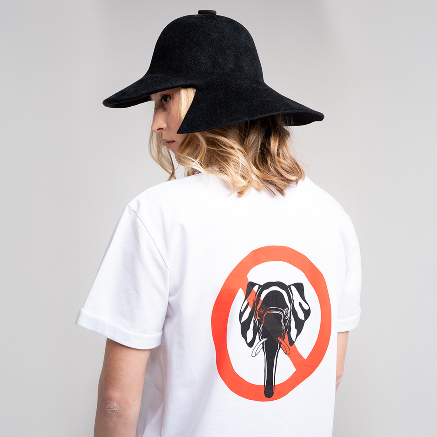 AUGMENTED REALITY PROJECT - ELEPHANTS